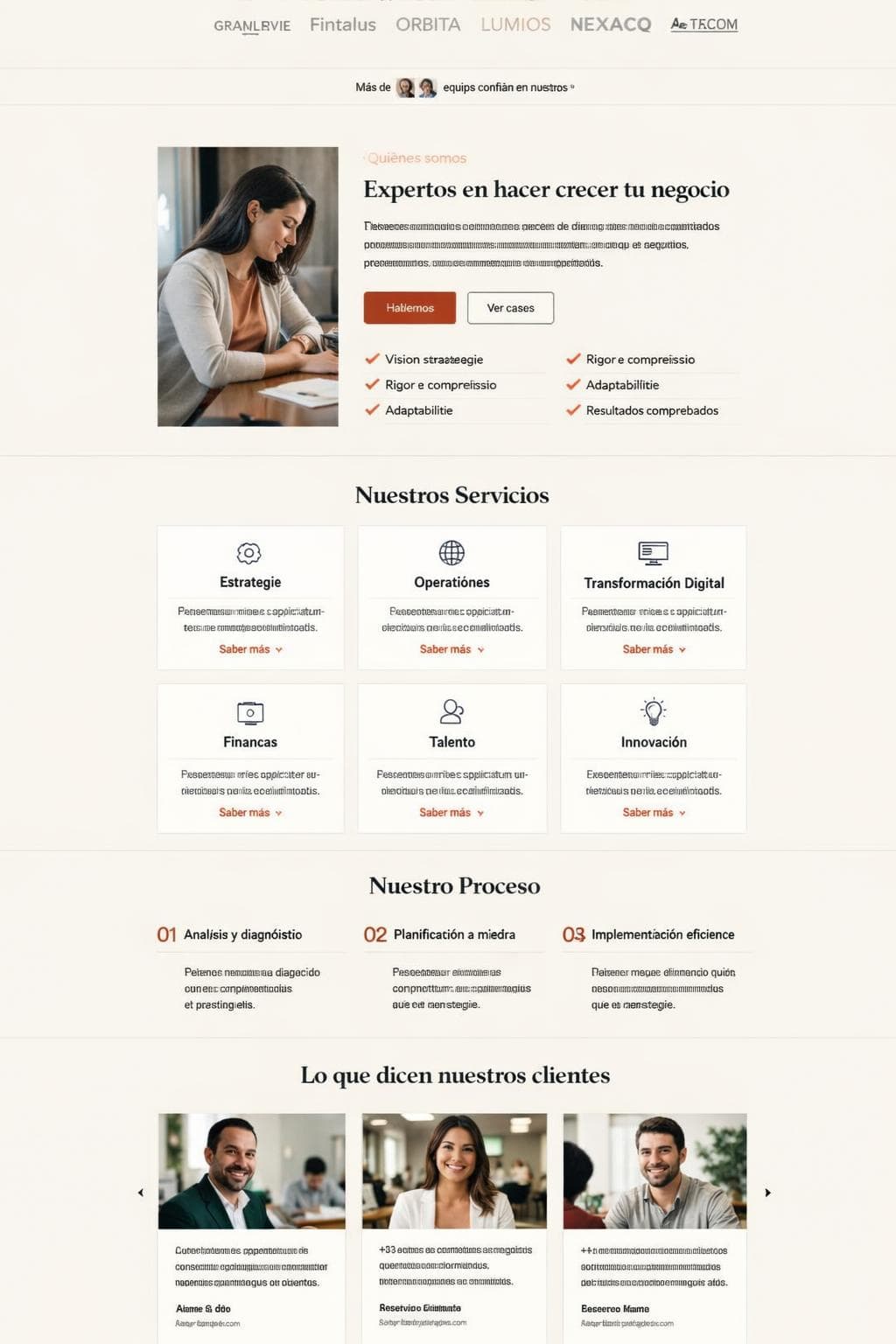 Brindelo Consulting — vista previa del theme